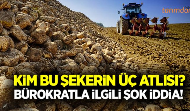 Kim bu şekerin üç atlısı?