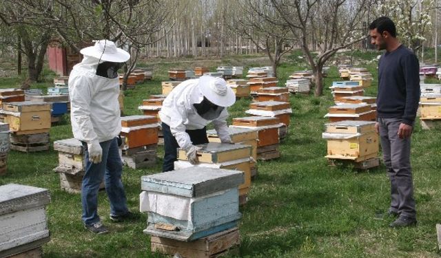 Iğdır’da arıcılığa destek projesi