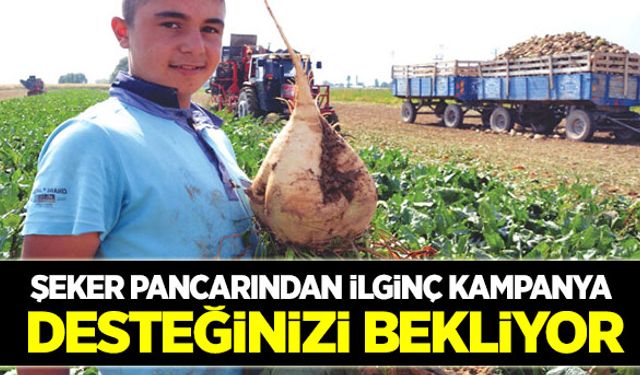 Şeker pancarından büyük kampanya!