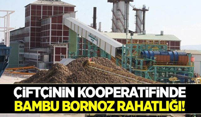 Çiftçinin kooperatifinde bambu bornoz rahatlığı!
