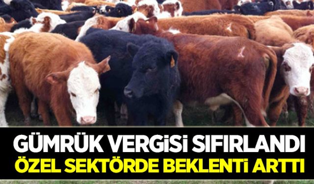 Besilik hayvan ithalatında gümrük vergisi sıfırlandı
