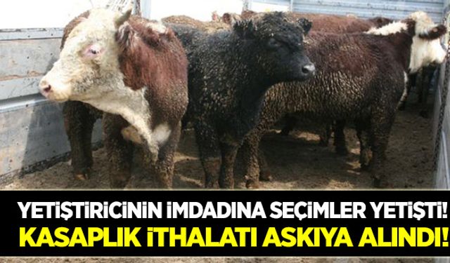 500 bin kasaplık hayvan ithalatı askıya alındı!