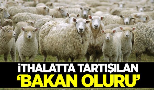 Önce hayvanlar ithal edildi sonra kan örnekleri incelendi!