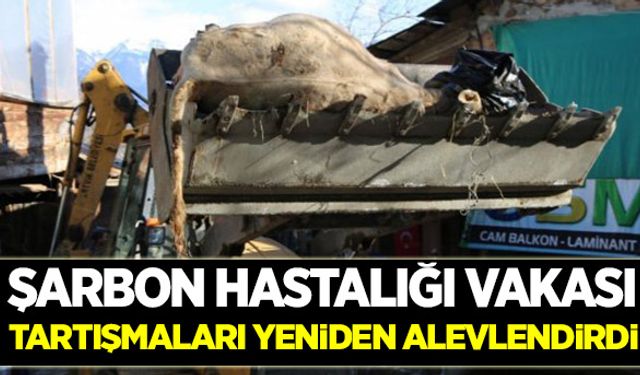 Veterinerlerin uygulama ücretindeki belirsizlik üreticiyi tedirgin ediyor!