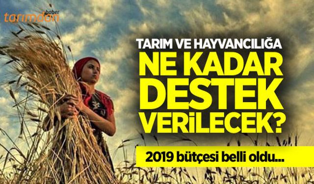 2019’da tarım ve hayvancılığa ne kadar destek verilecek?