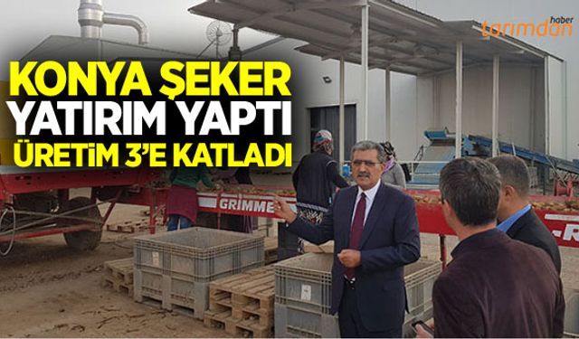 Konya Şeker yatırım yaptı Konya Ovasında patates üretimi üç kat arttı!