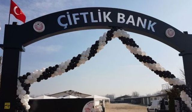 Mantar gibi türüyorlar, 11 tane daha Çiftlik Bank çıkmış