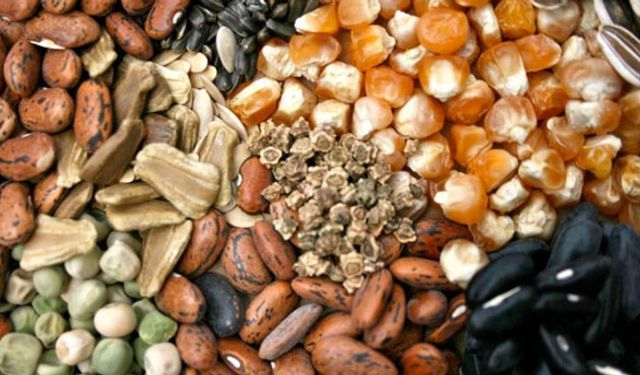 12 dolara satıp, 105 dolara almışız