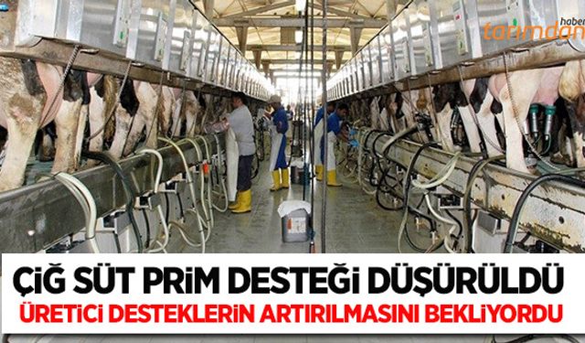 Çiğ süt prim destekleri düşürüldü!