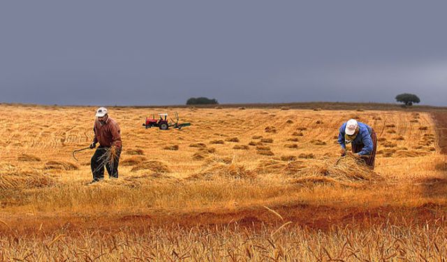 "İthalat tarımı bitiriyor"