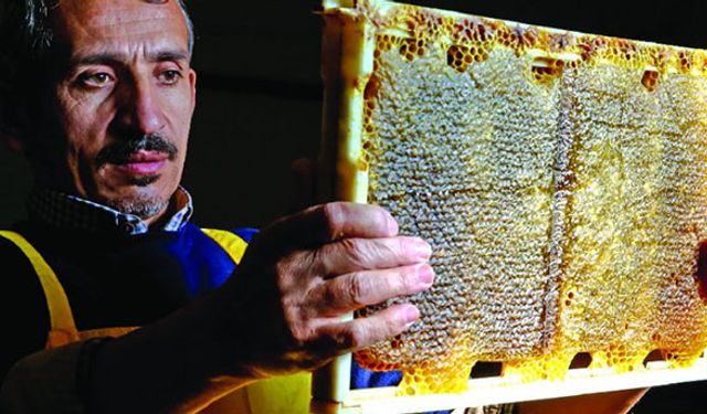 Balda dünyaya açılmayı hedefleyen bir başarı öyküsü!