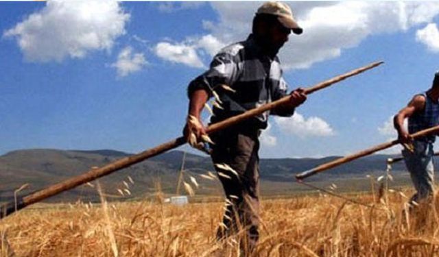"Desteklemeler köye dönüşü sağlıyor"