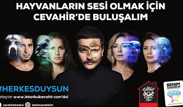 Sokak hayvanlarının sesini herkes duyacak!