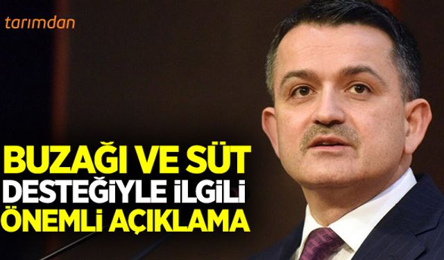 Buzağı destekleriyle ilgili önemli açıklama!