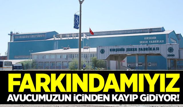 Şeker fabrikaları Cargill için ‘yumuşak lokma’ haline getirildi!