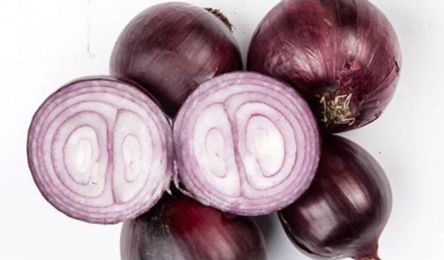 Kapıdağ mor soğanı coğrafi işaretli ürünler arasına girecek