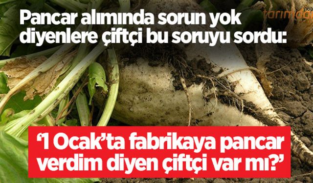 Şeker fabrikası pancarı çiftçiden en son ne zaman alıyor?
