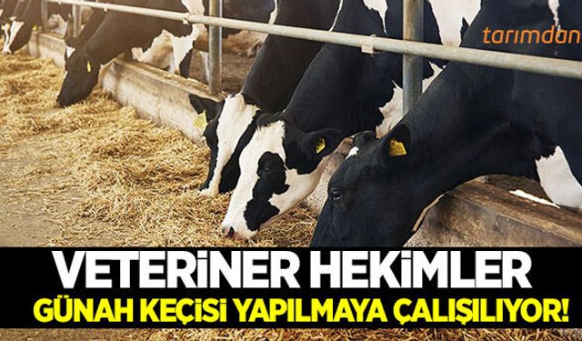 Şarbonda günah keçisi aranıyor!