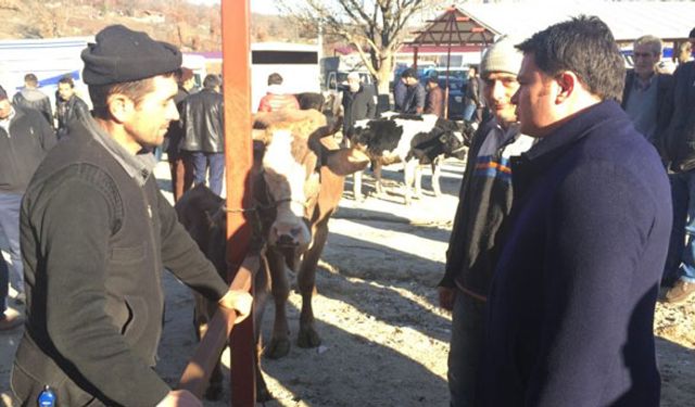 "Hayvancılık para kazandırmıyor"