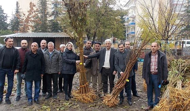 Malatya’da dut fidanı dağıtıldı