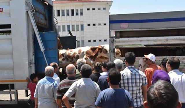 Genç çiftçilere 6 milyon liralık dev destek!