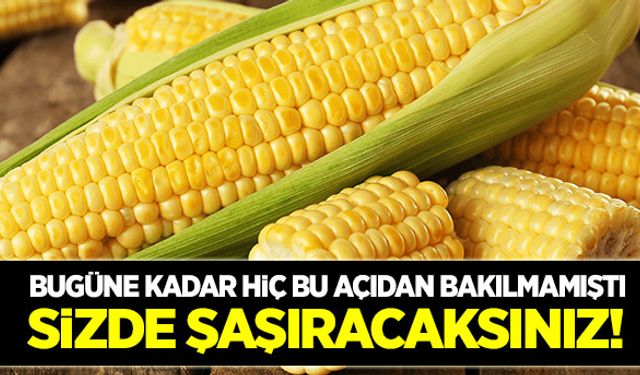 Mısırdaki Fruktoz oranı yüzde kaçtır?