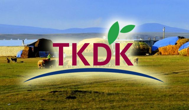 Hibe başvuruları başladı