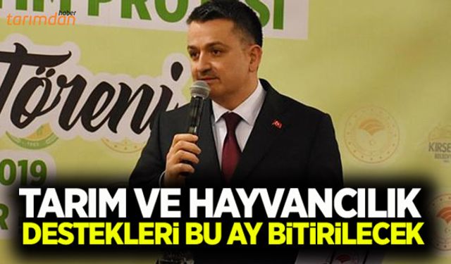 Tarım ve hayvancılık destekleri bu ay belli olacak!