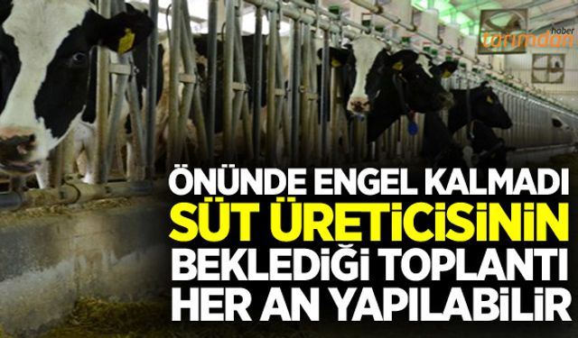 Ulusal Süt Konseyi her an toplanabilir!