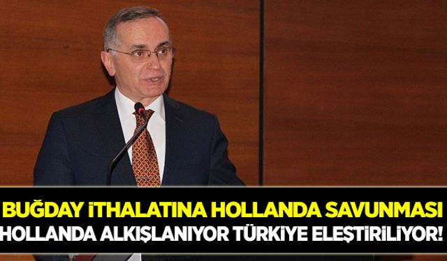 Buğday ithalatına Hollanda örneği!
