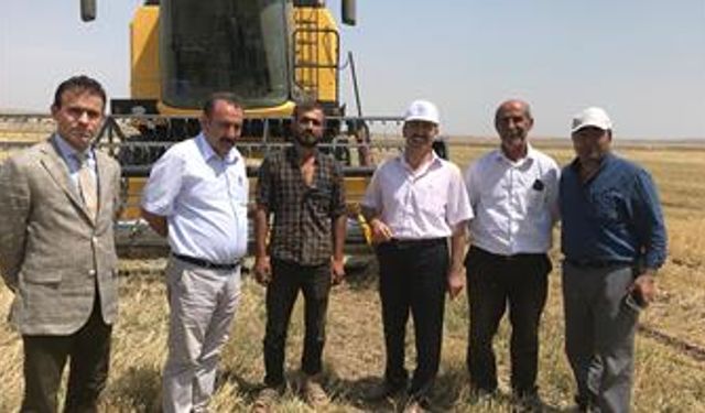 Kars’ta Ketencik bitki hasadı yapıldı