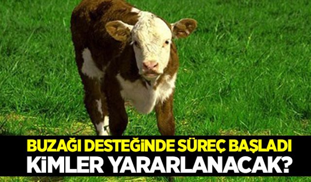 2018 buzağı desteğinde süreç başladı!