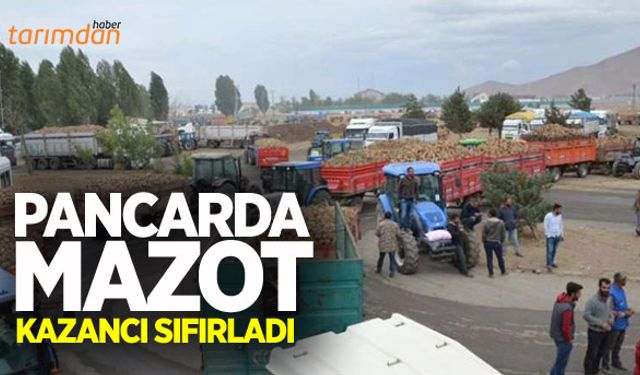 Pancarda mazot kazancı sıfırladı!