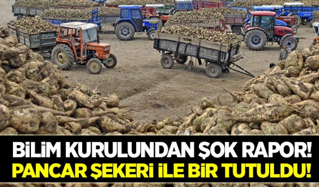 Bilim Kurulunun NBŞ raporu yumuşatıldı!
