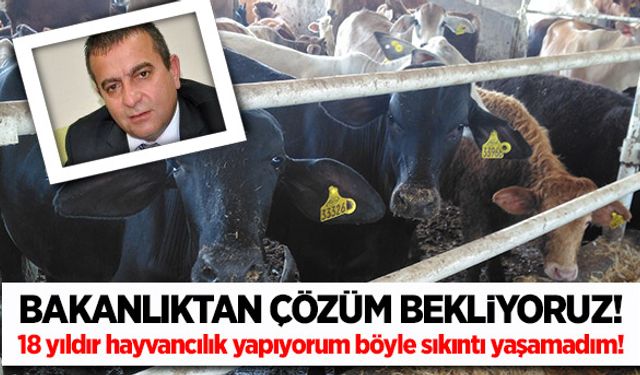 18 yıldır hayvancılık sektöründeyim böyle sıkıntı yaşamadım!