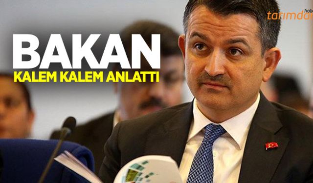 Bütçe görüşmelerinde tarım ve hayvancılık!