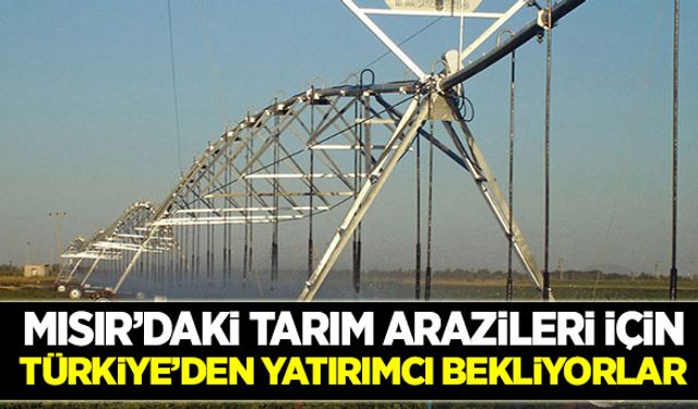 Mısır’daki tarım arazileri için Türkiye’den yatırımcı bekliyorlar!