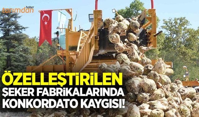 Şeker fabrikalarında konkordato kaygısı!