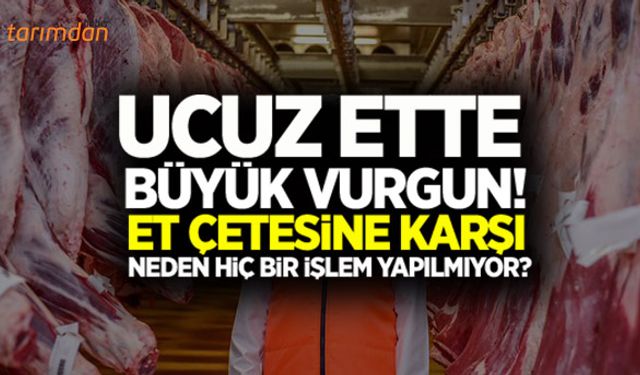 Ucuz ette büyük vurgun!