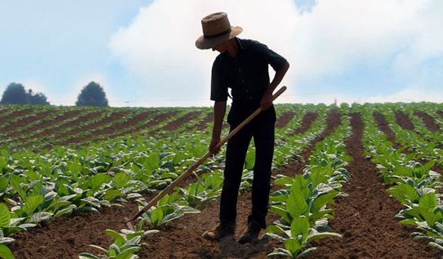 Erken uyarı sistemi çiftçiyi kurtaracak