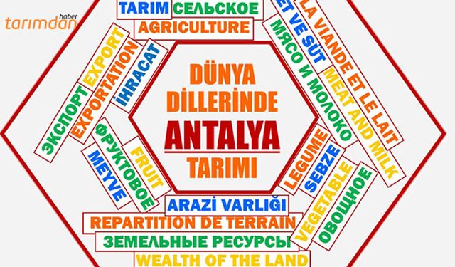 4 dilde Antalya tarımı