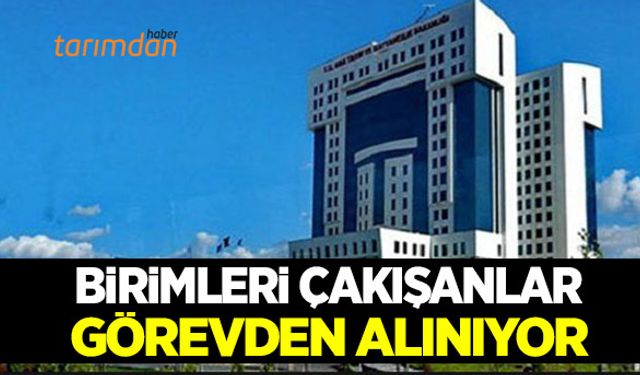 Tarım Orman’da çakışan birimlerdeki yöneticiler görevden alınıyor!