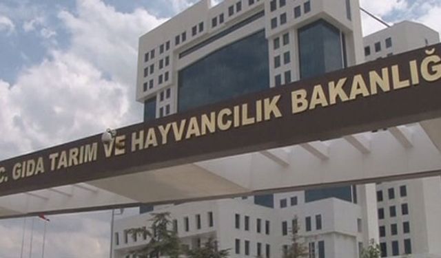 Görevden alınan bürokratların kararları resmileşti!