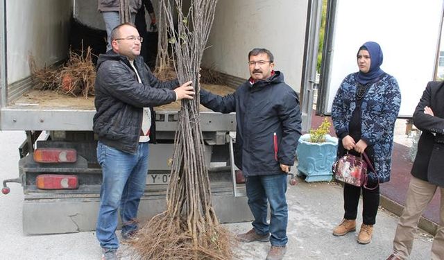 Uşak’ta meyve fidanı dağıtıldı