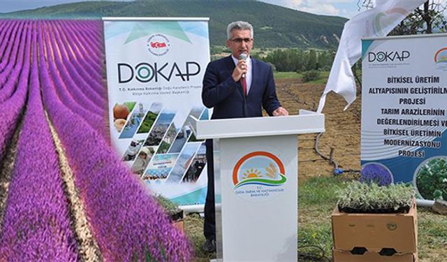 Gümüşhane lavanta kokacak