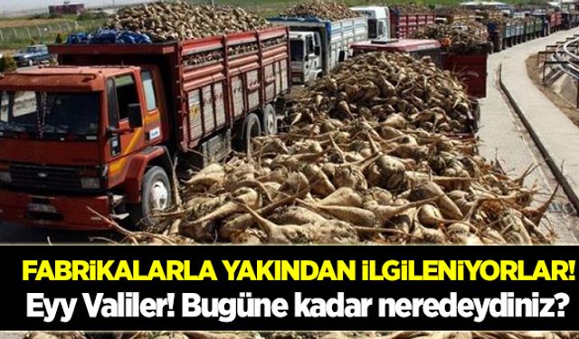 Valilerin şeker fabrikası ilgisi!
