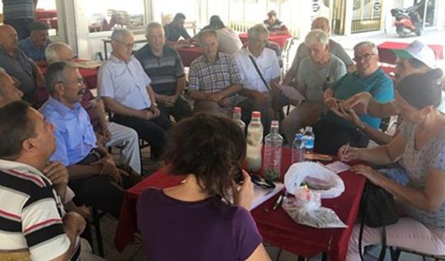 Zeytinde kaliteyi düşüren zararlıya karşı mücadele