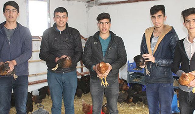 Tarım Lisesi öğrencileri yumurta üretiyor