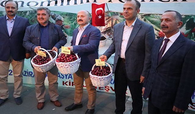 Amasya’nın en iyi kirazları yarıştı