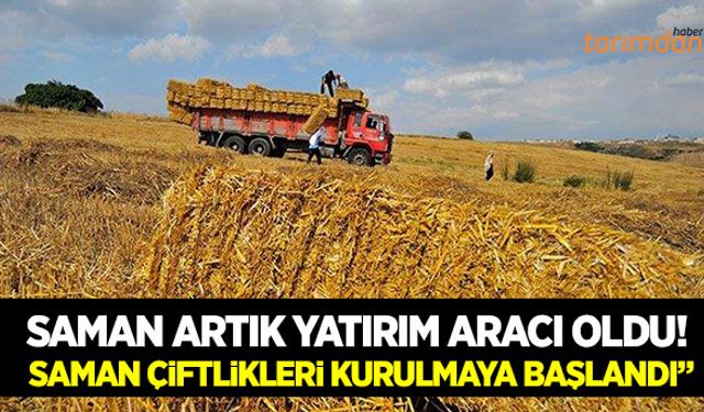 Saman yatırım aracı oldu!